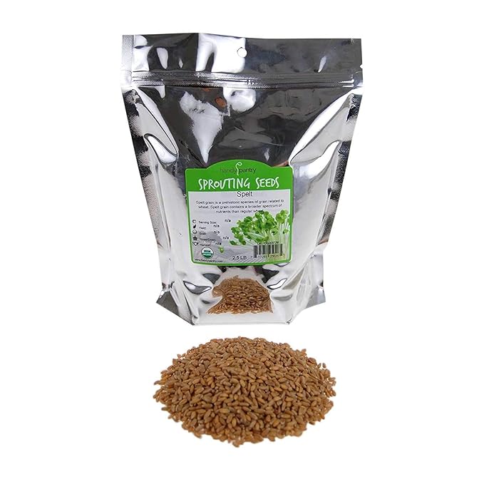 Handy Pantry Organic Spelt Seeds – Non-GMO Whole Berries for Cooking, Flour, Milling, Sprouting – 2.5 lb Bulk Bag – Clean, Unhulled, Pure Grain