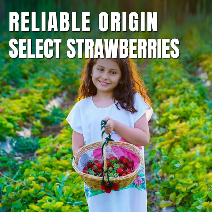 Ternio Premium Freeze Dried Strawberries - 4.51 Oz/128g - Trace Maltose Frozen Dried Strawberry Pieces - 100% Natural - Healthy Freeze Dried Fruit Snack & Topping for Beverages or Recipes.