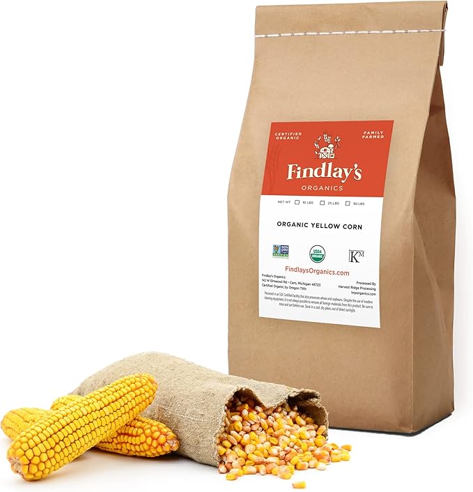 Yellow Corn Organically Grown in Michigan, Farmer Direct, USDA Organic Certified, Non-GMO, Vegan, Maíz, Dry 25 Lbs Total // Findlay's Organics (25 Pound)