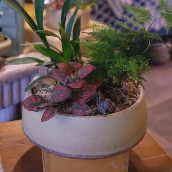 Large Round Concrete Flower Pot Mold Plaster Tray Gypsum Storage Bowl Silicone Mold Cement Succulents Planting Pot Mould
