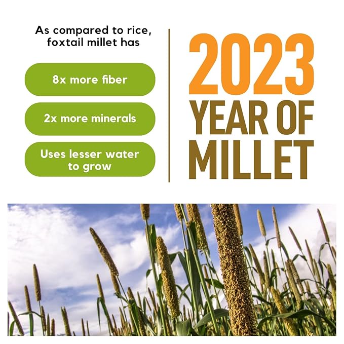 Better Alt 3 LBS SUPER PACK Millet Grain, Superfood of the Year 2023, Gluten Free, Hulled Whole Grain, Foxtail Millet, High Protein, Alternative to Rice, VACUUM SEALED