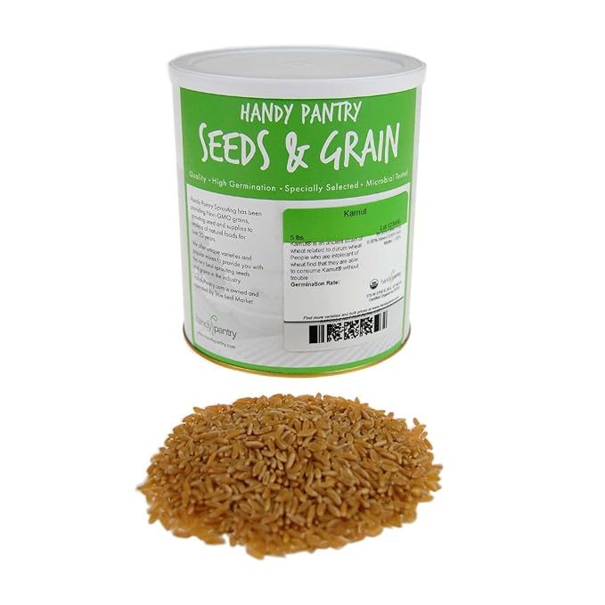 Handy Pantry Organic Kamut Seeds 5 lb – Certified Organic Khorasan Wheat for Sprouting, Wheatgrass, Bread, Beer Brewing, Baking, Emergency Storage – Non-GMO