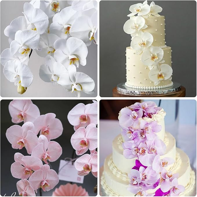 19Pcs Phalaenopsis Orchid Fondant Mold Set, Detailed Silicone Flower Veining Molds for Elegant Cake Decorating and Sugar Flowers