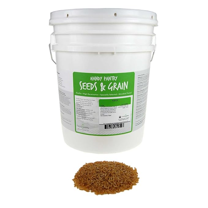Handy Pantry Organic Kamut Seeds – 35 lb – Bulk Ancient Grain for Emergency Food Storage, Baking, Sprouting, Milling