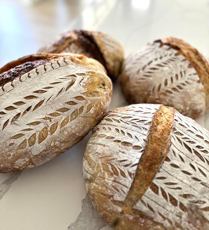 Sourdough Starter Kit + Educational Videos | Beginner Friendly | Recipe Included