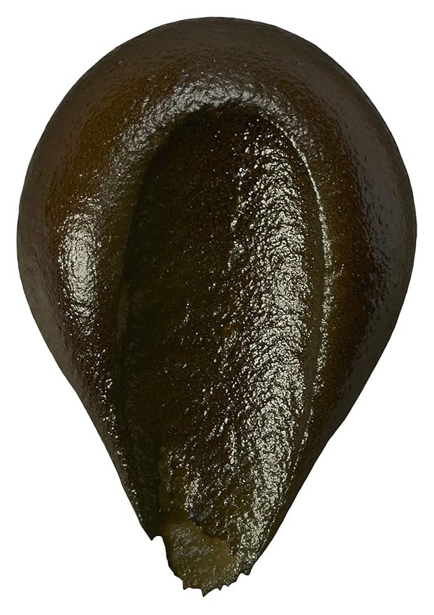 DecoPac Food Coloring, Edible Airbrush For Cake Decorating, Cookie Airbrush Coloring, Food Airbrush Kit Add-on, Airbrushes For Cake Decorating - Harvest Brown, 8 Fl Oz