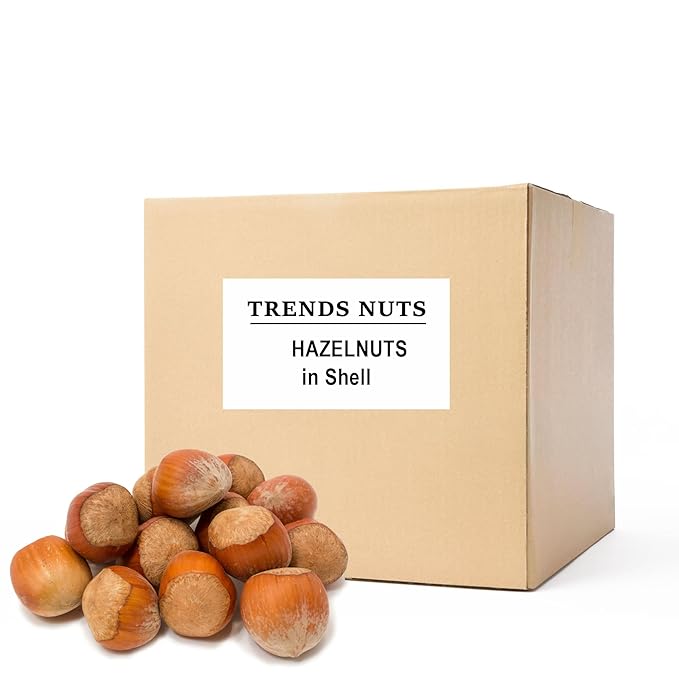 Trends Hazelnuts In Shell – Natural, Fresh, and Crunchy – Perfect for Snacking, Baking, and Healthy Recipes (12 LBS)