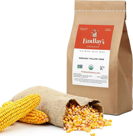 Yellow Corn Organically Grown in Michigan, Farmer Direct, USDA Organic Certified, Non-GMO, Vegan, Maíz, Dry 10 Lbs Total // Findlay's Organics (10 Pound)