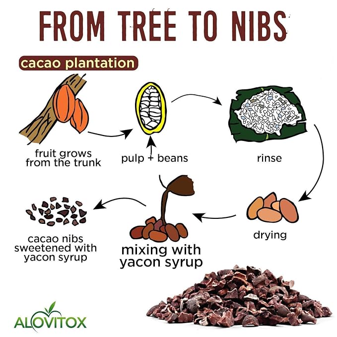 Cacao Nibs Naturally Sweetened with Yacon Syrup | Raw Organic, Sugar Free, Keto, Paleo and Vegan Friendly | Antioxidant and Protein Rich Criollo Chocolate Snack by Alovitox | 24 oz (3 x 8 oz)