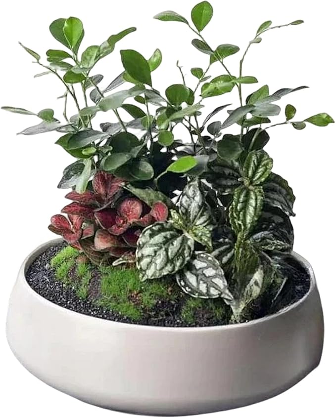 Large Round Concrete Flower Pot Mold Plaster Tray Gypsum Storage Bowl Silicone Mold Cement Succulents Planting Pot Mould