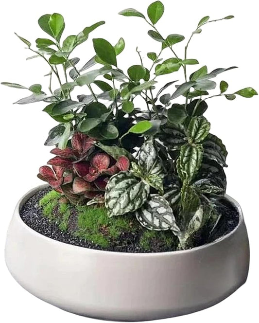 Large Round Concrete Flower Pot Mold Plaster Tray Gypsum Storage Bowl Silicone Mold Cement Succulents Planting Pot Mould