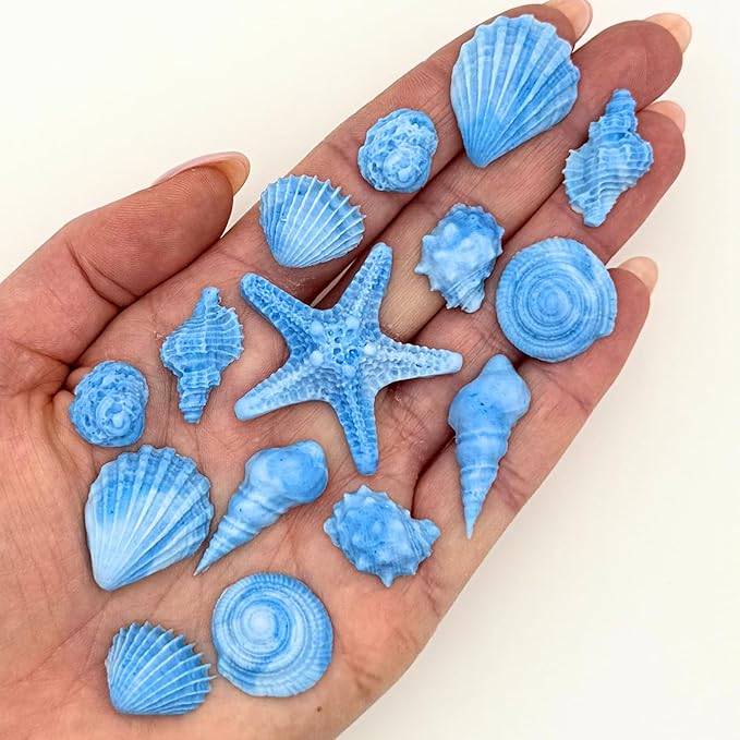 15 Dye Free Seashell Edible Cake Decorations, Vegan, Gluten-Free, Edible Cake Toppers for Cupcakes, Cookies & Desserts, by Simply Sucré (15 Pieces (Gift Box), Blue)