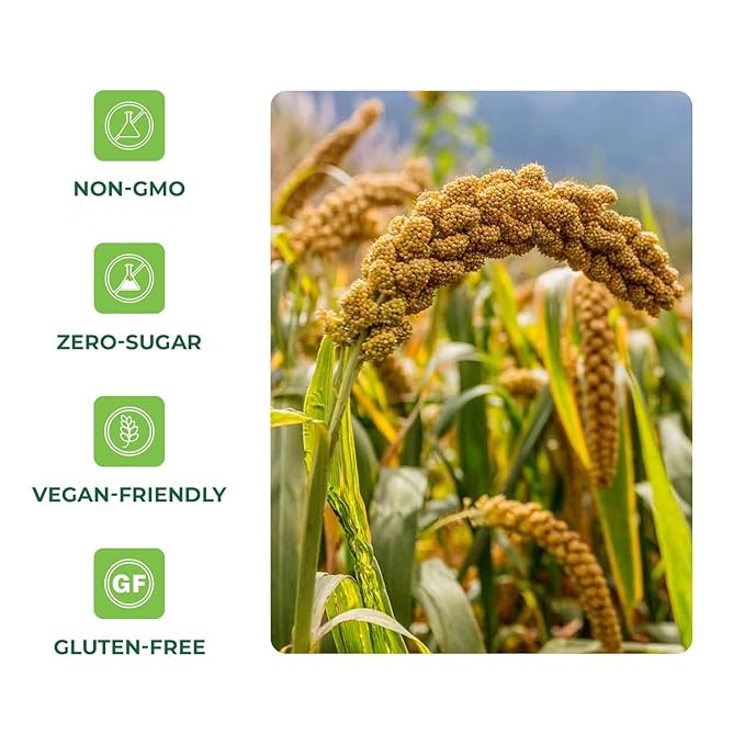 Quay Naturals Organic Hulled Millet, 2.5 lbs, USA Grown, Non-GMO, Gluten-Free, Whole Grain, Easy to Digest, Vegan-Friendly