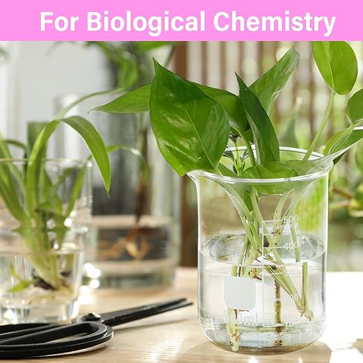 8 Pcs 500 ml Glass Lab Beaker 3.3 Borosilicate Glass Measuring Cup with Spout Low Form Glassware for Laboratories Classrooms or Home Use