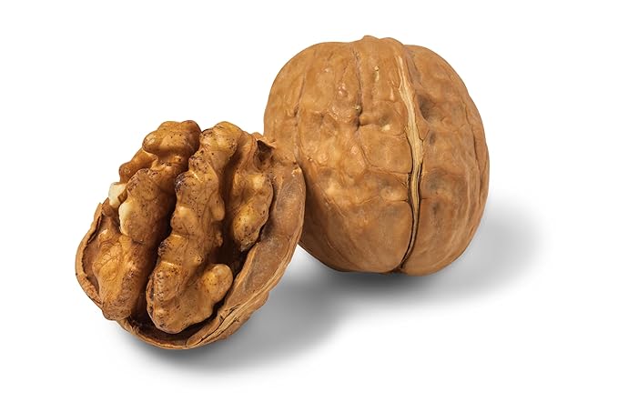 Nuts.com Whole Walnuts in Shell, 2 lbs – Fresh Unshelled Raw Walnuts with Buttery, Nutty Flavor (Pack of 2)