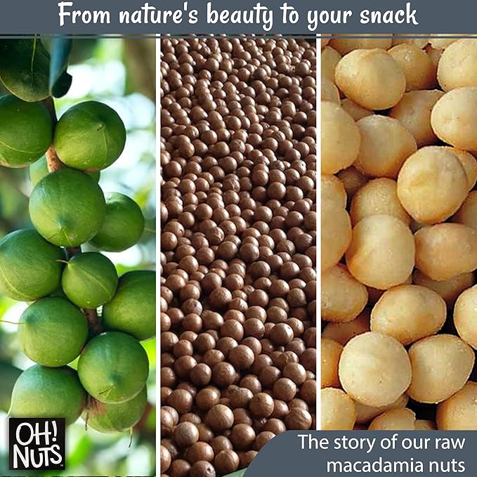 Oh! Nuts Raw Macadamia Nuts - Macadamia Nuts Unsalted - Jumbo Macadamia - 1 lb - 100% Natural Snack