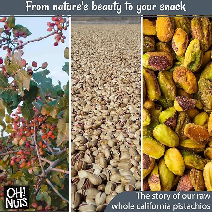 Oh! Nuts Raw Whole California Pistachios No Shell 8 oz, Fresh Shell-Less California Pistachios Bulk Bag - Healthy Snacking Large Nuts for Paleo, Keto, Vegan & Plant-Based Diet