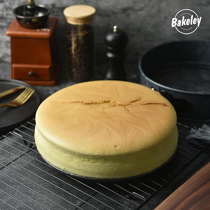 Springform Pan, 10-Inch Nonstick Cheesecake Pan with Removable Bottom Round Baking Cake Pie Mold for Oven 10" x 10" (Black with White Point)