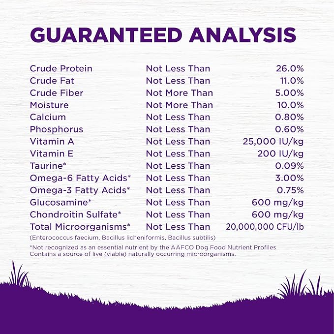 Wellness Complete Health Dry Dog Food, Grain Free, Natural, Chicken Recipe, (22-Pound Bag)