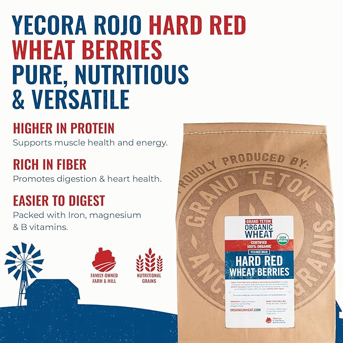 Yecora Rojo Hard Red Wheat Berries by Grand Teton Organic Wheat | Organic Hard Red Spring Wheat Berries for Baking Whole Grain Breads or Milling Into Flour | Non-GMO, (25 Pounds)