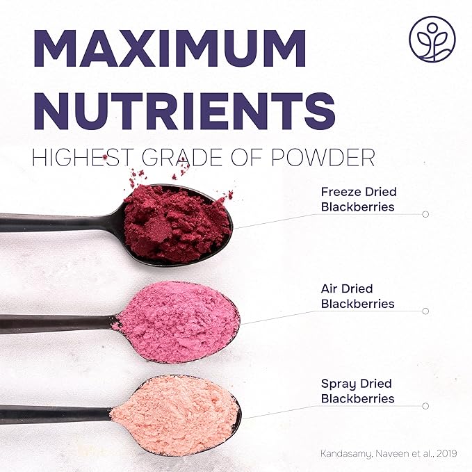 Jungle Powders Blackberry Powder for Smoothie 7 Ounce Bag, Powdered Freeze Dried Blackberries, Purple Superfood Flavoring Extract for Baking Flavoring