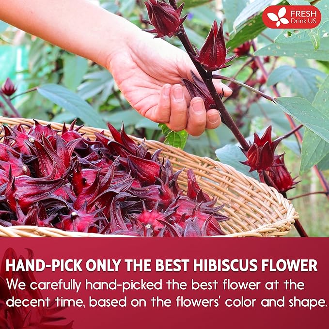 FreshDrinkUS, Premium 16oz Hibiscus Flower Powder, 100% Natural and Pure from Hibiscus Flowers, Natural Food Coloring, No Additives, No Gluten, No Sugar, Vegan