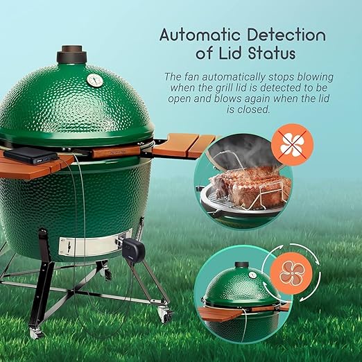 INKBIRD Wi-Fi and Bluetooth BBQ Temperature Controller, Automatic Smoker Fan Thermometer, with 4 Probes for Green Egg, Kamado Joe, Primo, Ceramic Grills, with 2 Size Adapters, Storage Carrying Case