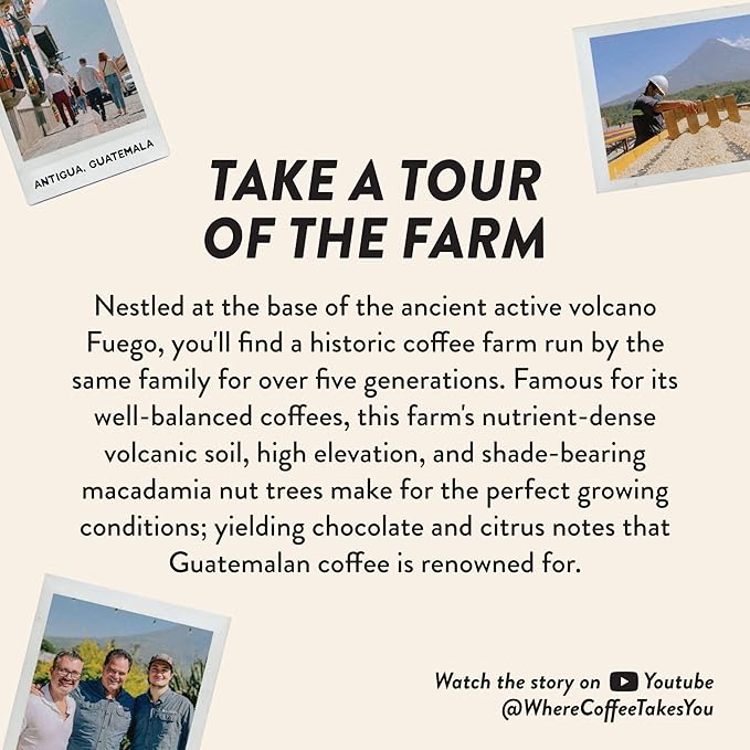 Angelino's Coffee Breakfast Blend Coffee, Reserve 12oz Whole Bean, Medium Roast Guatemala Coffee with Chocolate & Caramel Notes, Guatemalan Coffee Beans with Citrus Hints - Breakfast in Antigua