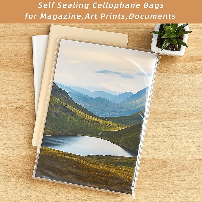 rebucas 9x12 Inch Clear Self Sealing Cellophane Bags, 120 Pcs Plastic Packaging Bags for Clothes, Shirts, Gifts, Pants, Magazines, Crafts, Small Business