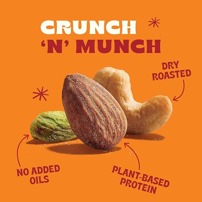 Back to Nature Premium Nut Mix - Cashew, Almond & Pistachio Blend, Dry Roasted with Sea Salt, Non-GMO High Protein Snacks, 9 Ounce (Pack of 9)
