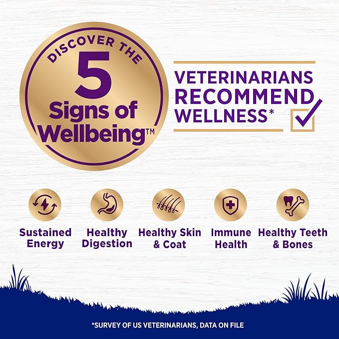 Wellness Complete Health Dry Dog Food, Large Breed, Grain Free, Natural, Chicken Recipe, (24-Pound Bag)