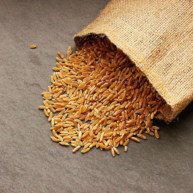 Handy Pantry Organic Kamut Seeds – 1 Lb – Ancient Khorasan Grain for Sprouting, Flour, Baking, Beer, Storage