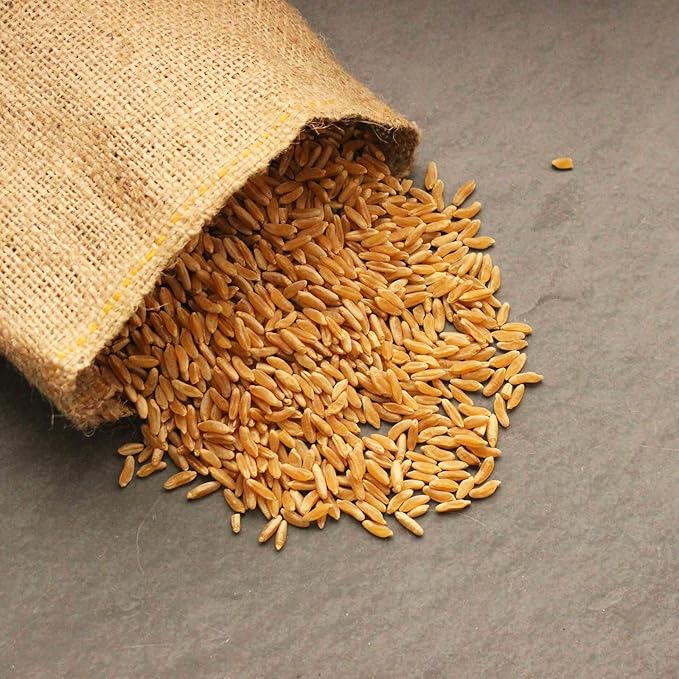 Handy Pantry Organic Kamut Seeds 5 lb – Certified Organic Khorasan Wheat for Sprouting, Wheatgrass, Bread, Beer Brewing, Baking, Emergency Storage – Non-GMO