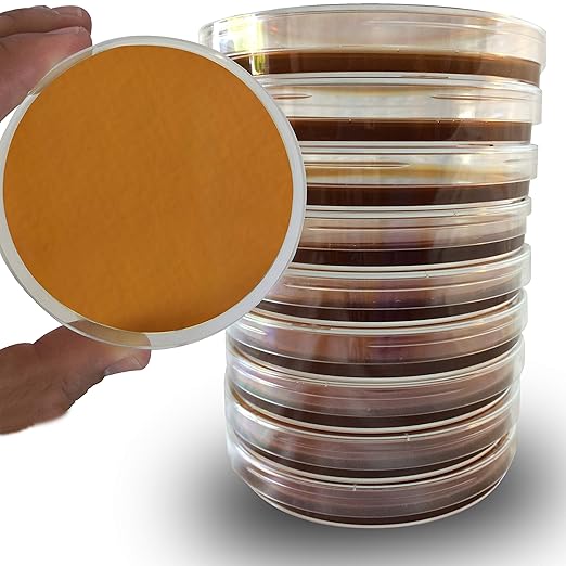 Yeast Peptone Dextrose (YPD) Agar Plates - Evviva Sciences - Great for Yeast Cultivation - 10 Prepoured YPD Petri Dishes - Great for Science Projects
