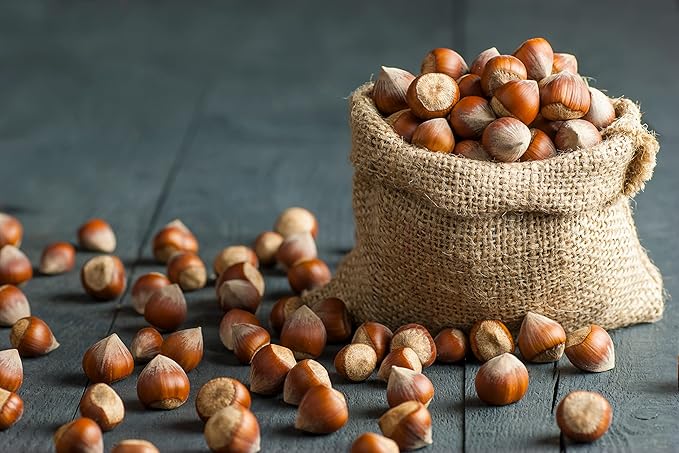 Raw In Shell Filberts/Hazelnuts (1 Lbs.) - Vegan & Keto Friendly - Super Crunchy & Delicious - Natural jumbo Oregon Filberts/Hazelnuts - Packed with Nutrients - Farm Fresh Nuts Brand