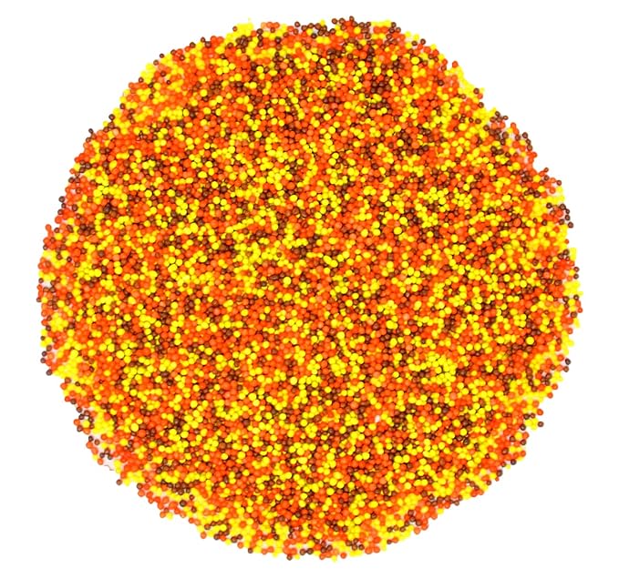 Mystic Sprinkles Autumn/Fall Sprinkle Mixes (Colors of Autumn Nonpareils Mix 3.8oz)