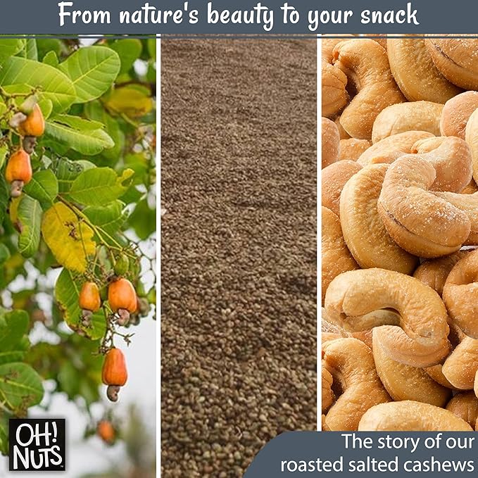 Oh! Nuts Cashews Roasted Salted - 1 lb - Oven Dry Roasted Cashews - Packed in New York Zip-Seal Bag for Exceptional Freshness