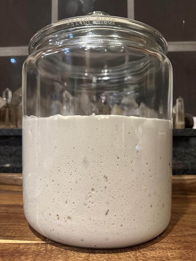 Wild Yeast Sourdough Starter-Three 25g Packages Included! Use 1 Now and 2 For Back-up!