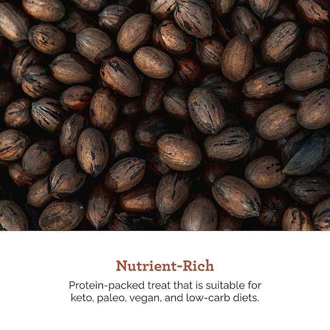 HUDSON PECAN COMPANY | Fresh Fancy Georgia Pecans Pieces | Local, Rich & Flavorful, Kosher Certified | Ideal for Baking, Cooking, Desserts, Salads & Snacking, 12 oz Resealable Pouch