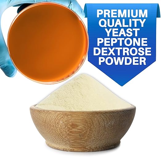 Yeast Peptone Dextrose (YPD) Agar Plates - Evviva Sciences - Great for Yeast Cultivation - 10 Prepoured YPD Petri Dishes - Great for Science Projects