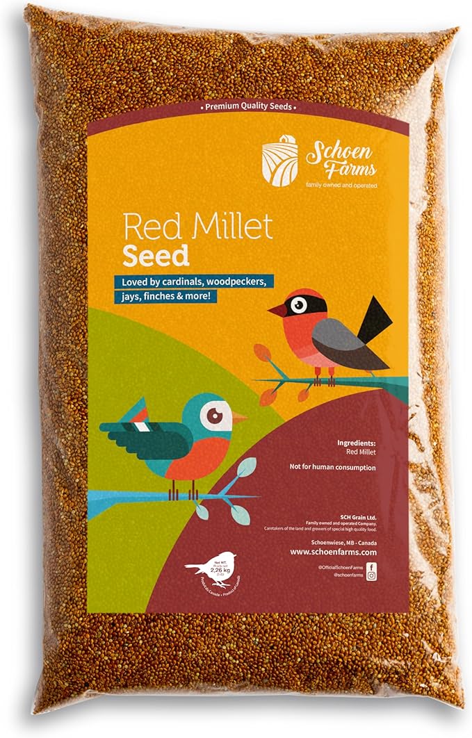 Red Millet (5 LBS) for Birds Cardinals, Chickadees, Nuthatches, Woodpeckers and Songbirds