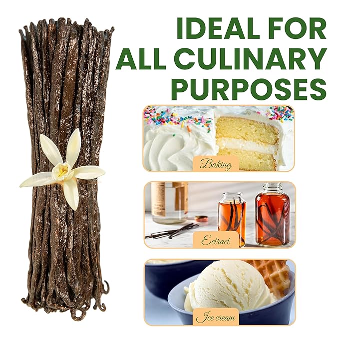 16oz (1 Pound) Count Organic Madagascar Vanilla Beans – Grade A Bourbon Pods | Gourmet Whole Vanilla Beans for Baking, Cooking, Extract Making | Rich Aroma, Premium Flavor, Non-GMO, Vegan