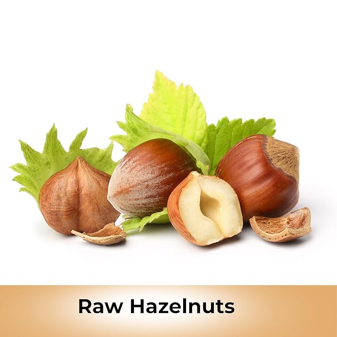 Raw Oregon Hazelnuts, Natural Raw Hazelnuts, Kosher Certified in Resealable Bag (8 Oz)