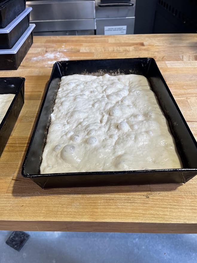 Wild Yeast Sourdough Starter-Three 25g Packages Included! Use 1 Now and 2 For Back-up!