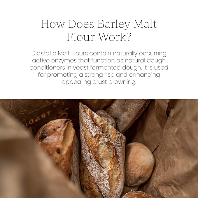 Breadtopia Organic Diastatic Malt Powder 8 oz. | Non-GMO Malted Barley Flour | No Additives, No Sugar, & No Fillers | Milled from Whole Malted Barley Kernel |