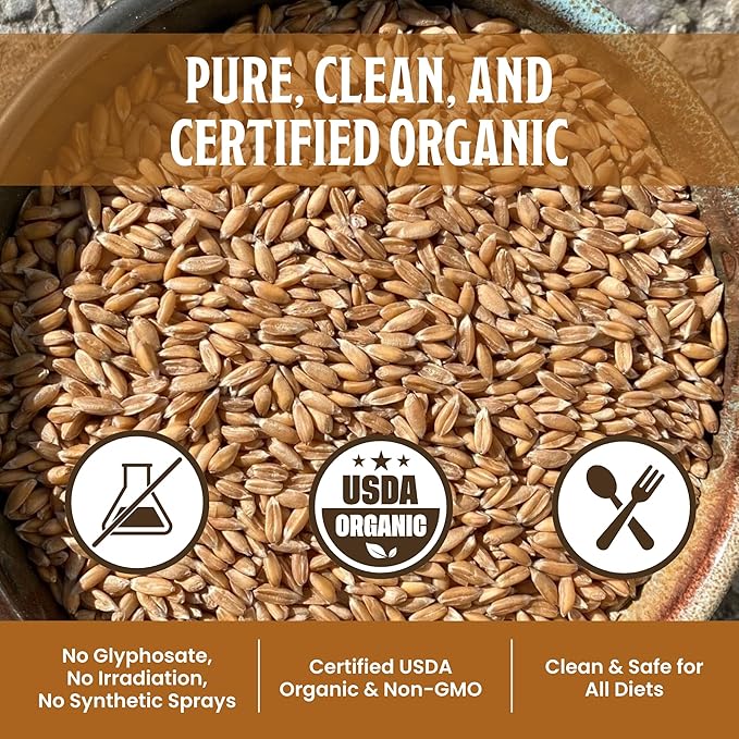 Farmer Bob's Organic Spelt Berries 5 lb - USDA Organic, Non-GMO & Glyphosate-Free - Nutritious Spelt Wheat Berries Grown in USA - Whole Spelt Grain Berries for Healthy Eating & Baking