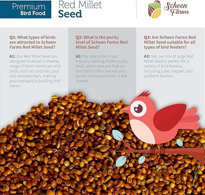 Red Millet (5 LBS) for Birds Cardinals, Chickadees, Nuthatches, Woodpeckers and Songbirds
