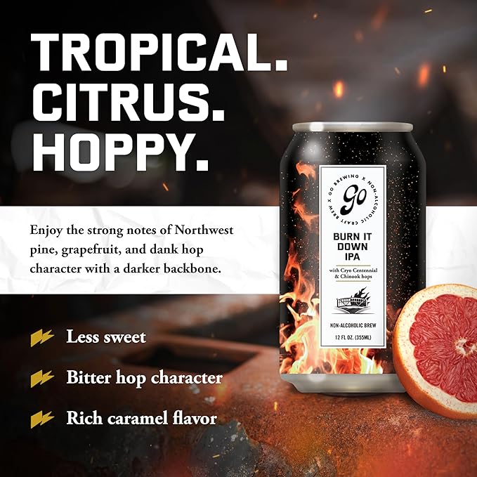 Go Brewing - IPA 12 Mixed Pack - Non Alcoholic Beer - Refreshing Small Batch Brew - Low Calorie Brew - Featuring Prophets Hazy IPA & Burn It Down IPA - Ideal for Any Occasion (12 oz, 12 Pack)