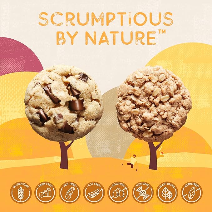 Autumn Sons Baking Co. Gluten Free Chocolate Chunk & Oatmeal Cinnamon Cookie Mix Combo Pack. Vegan Plant Based Baking Mix. Top 9 Allergen Free. 9.3 oz (Pack of 2)