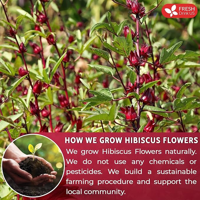 FreshDrinkUS, Premium 40oz Hibiscus Flower Powder, 100% Natural and Pure from Hibiscus Flowers, Natural Food Coloring, No Additives, No Gluten, No Sugar, Vegan